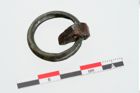 Foto von Bronzering (NHMW-PRAE-024946)
